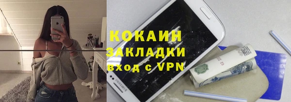 ешки Алексин
