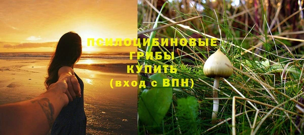 ешки Алексин