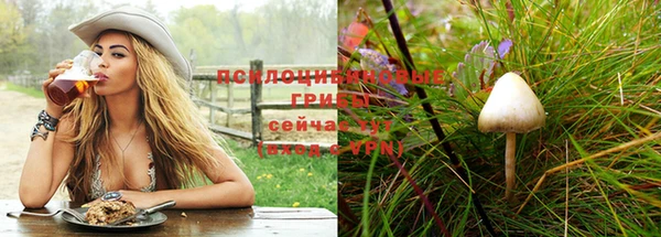 соль ск Касимов