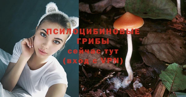 ешки Алексин