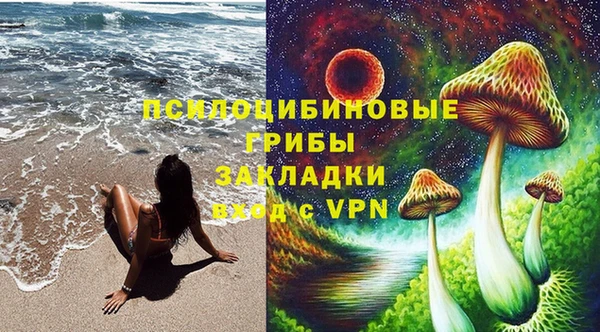 ешки Алексин